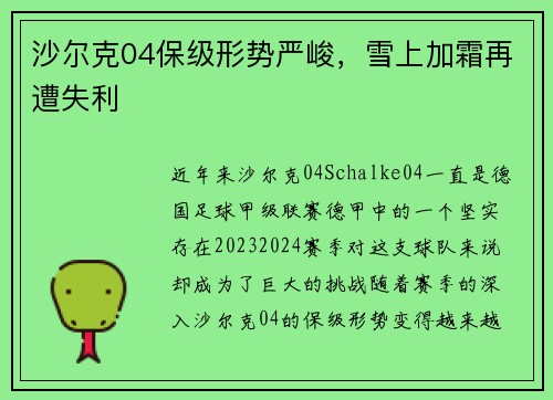 沙尔克04保级形势严峻，雪上加霜再遭失利
