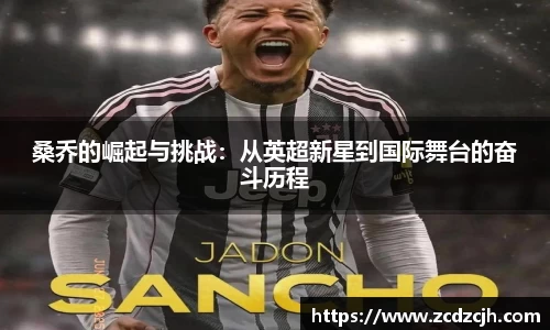 78m威九国际(集团)中国区有限公司-BinG百科