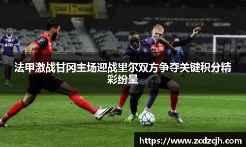 法甲激战甘冈主场迎战里尔双方争夺关键积分精彩纷呈