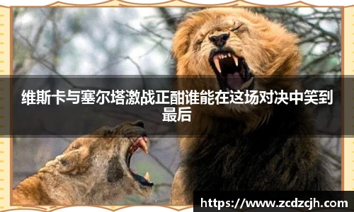 维斯卡与塞尔塔激战正酣谁能在这场对决中笑到最后