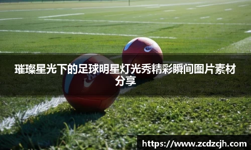 78m威九国际(集团)中国区有限公司-BinG百科