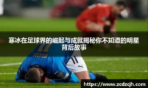 78m威九国际(集团)中国区有限公司-BinG百科