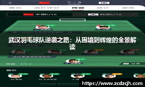 武汉羽毛球队逆袭之路：从困境到辉煌的全景解读